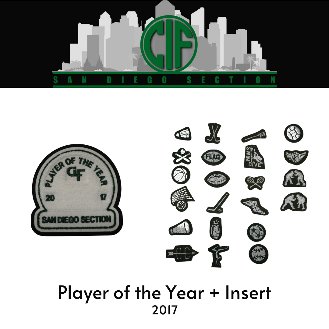 Player of the Year + Insert 2017